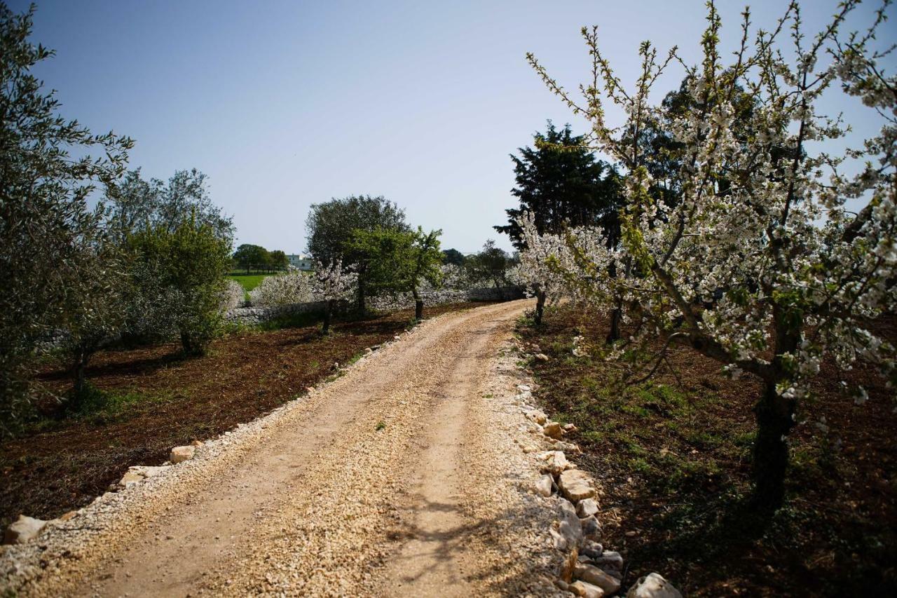 Masseria Guadiano Vecchio Santa Lucia  Eksteriør billede